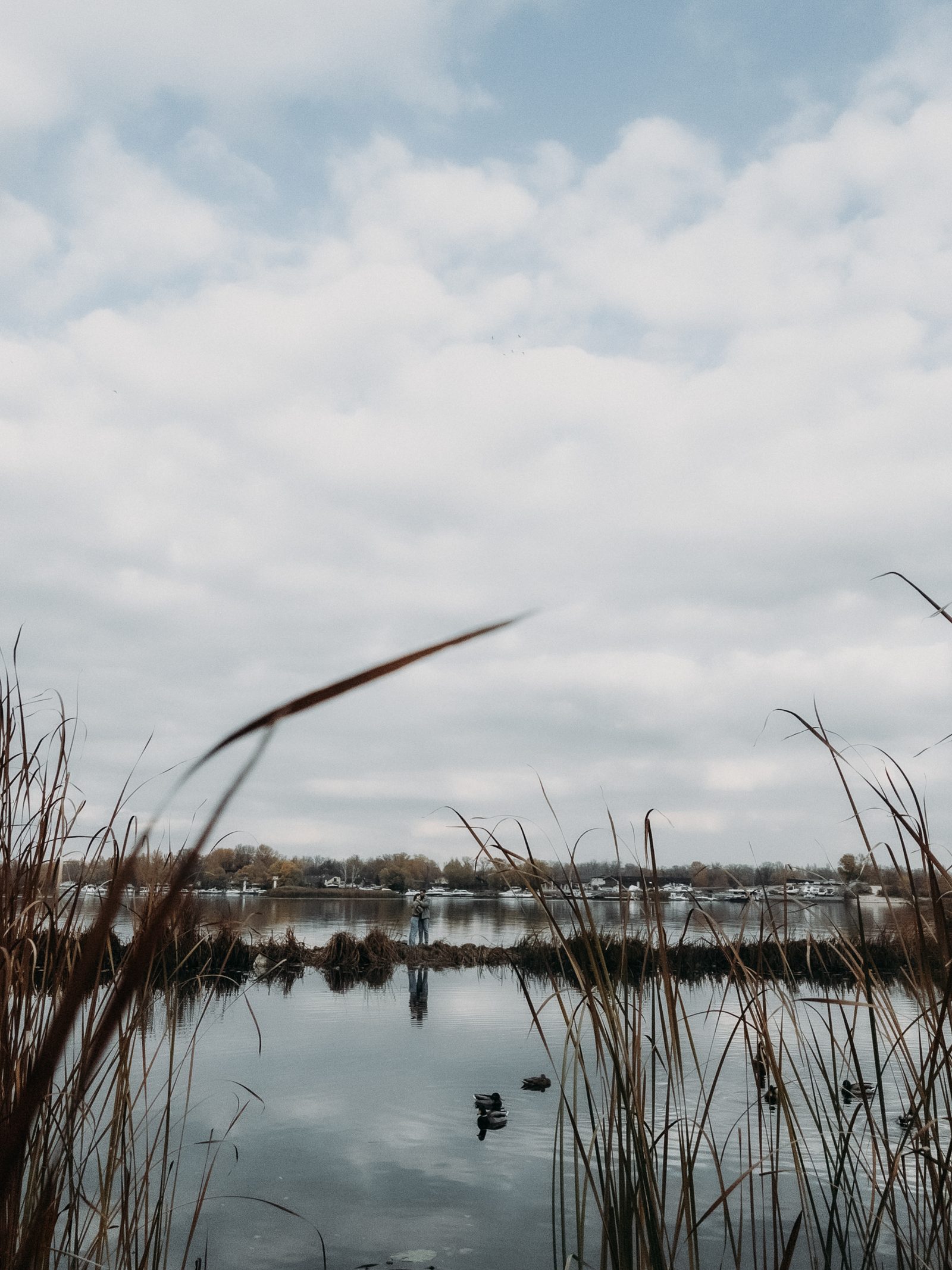 Love couple reeds lakeside wide landscape